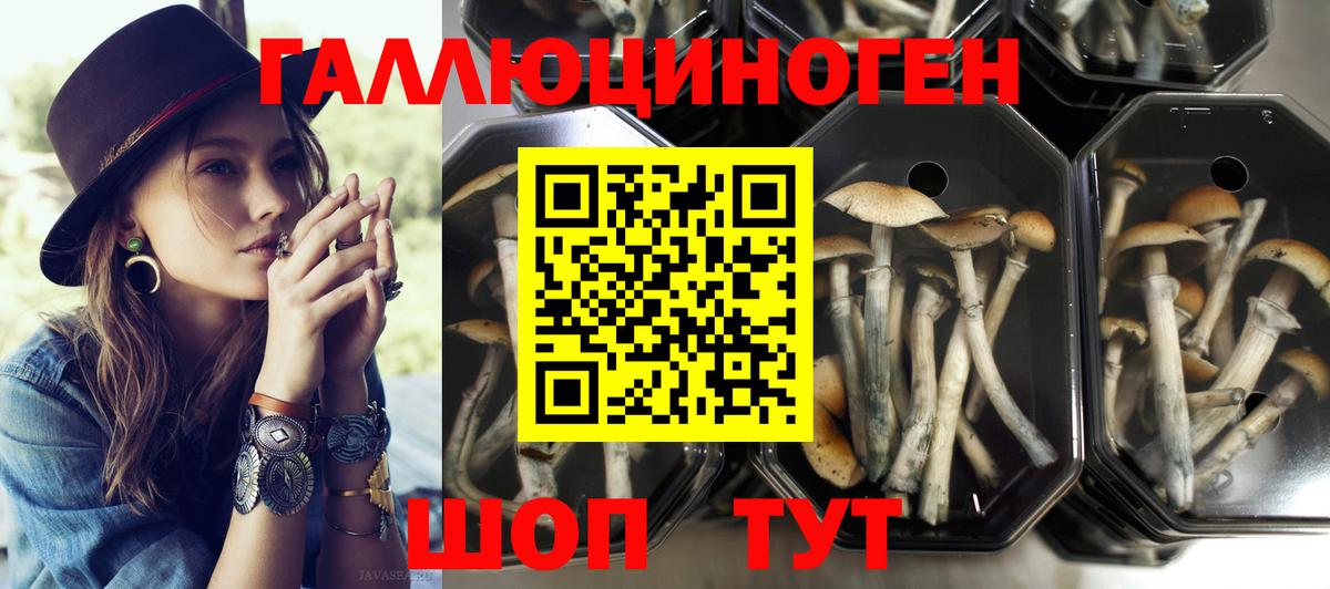 Псилоцибиновые грибы мухоморы Новороссийск